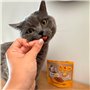 Kowi Mini Snack pour petits chiens et chats - Friandises pour chiens et chats - Friandises pour chiens et chats - Peau et bouche