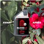 UP NUTRIENTS Bio Stimulant de Floraison BLOOM UP 250 ml - Engrais Récoltes, Fleurs et Têtes - NPK 2,75-3-4 - Stimulation de la P