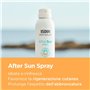 After Sun Isdin Crème Unisexe Rafraîchissant