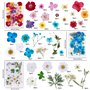 134 pièces Vraies Fleurs Pressées Séchées, Florales Naturelles Feuille de Fleurs Pressées pour Bricolage Résine Bijoux Faisant F