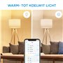 WiZ ampoule LED Connectée Wi-Fi Globe E27, Nuances de Blanc, équivalent 75W, 1055 lumen, fonctionne avec Alexa, Google Assistant