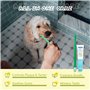 Nobleza - Set Brosse à Dents Et Dentifrice pour Chien, Kit Dentifrice Chien Anti Tartre, Les Chiens Améliore l'hygiène buccale C