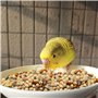 Nobleza - (500g Nourriture pour Perruches, Graines pour Oiseaux de Qualité Supérieure, Alimentation pour Oiseaux Savoureuse et S