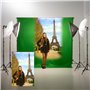 PIXETOOL Kit Studio Photo et Éclairage - Softbox - Écran de Projection - Fond Vert (3 x 3 m) avec Support (3 x 2,6 m) - Toile de
