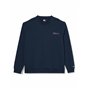 Tommy Jeans TJM REG Entry Graphic Crew EXT DM0DM20849 Sweat-Shirt à Enfiler