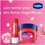 Vaseline Lip Therapy Rosy| Baume à lèvres teinté nourrissant | Hydratant pour les lèvres (Rosy (1 Pièces))