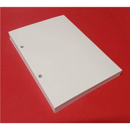 100 feuilles avec 2 trous au format DIN A5 14