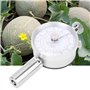 Jeanoko Testeur de dureté de Fruit de scléromètre de pénétromètre de fermeté de Fruit de GY-03 pour déterminer Le Niveau de matu