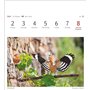 Calendrier 2025 - Calendrier hebdomadaire avec 53 cartes postales : calendrier hebdomadaire au format carte postale avec portrai