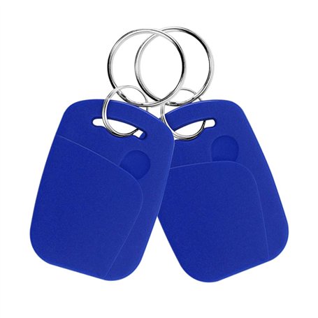 FTSTech 10pcs Porte-clés RFID Double Fréquence 125KHz et 13