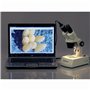 AmScope MD500-CK Microscope numérique 5 MP pour photo et vidéo avec USB et kit de calibrage