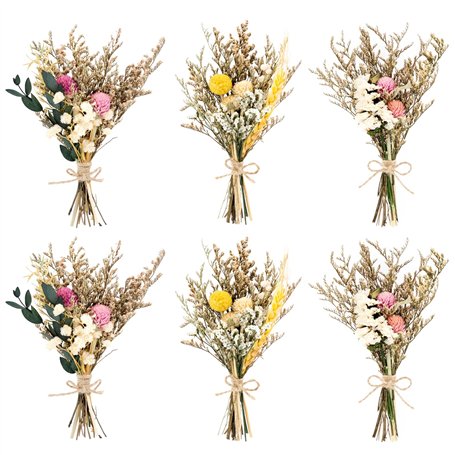 MINISOISO 6 Pièces Petit Bouquet Fleurs Séchées