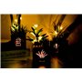 BEGONDIS Lot de 3 plantes succulentes artificielles avec lumières LED dans une boîte en bois, plantes artificielles en plastique
