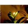 BEGONDIS Lot de 3 plantes succulentes artificielles avec lumières LED dans une boîte en bois, plantes artificielles en plastique