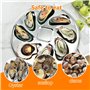 Forreen Assiette à Huîtres, 2 Pièces Assiettes à Huîtres en Acier Inoxydable Plaque à Huîtres Shell en Forme Durable Conteneur H