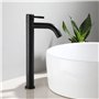 CENPEK Robinet D'évier de Salle de Bain en Acier Inoxydable Avec Poignée Unique - Design élégant et Rétro - Noir Mat Givré Pour