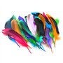 HDGSAFD Lot de 50 plumes colorées