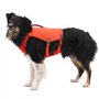 Ruffwear Confluence Gilet de Sauvetage pour Chien, Harnais de sécurité et Dispositif de flottaison pour Chien de Petite Taille, 