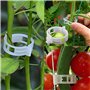 Plante Clips Support de Plantes pour Légumes Tomates et Plants de Vignes Lot de 100 Pinces à Plantes en Plastique Blanc Réutilis