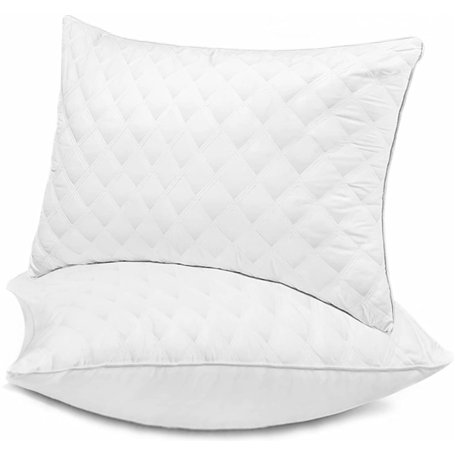 Oreiller 50x70 cm Lot de 2 Coussins Hotellerie Luxe Oreillers