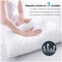 Oreiller 50x70 cm Lot de 2 Coussins Hotellerie Luxe Oreillers, Antiallergique Anti Acarien d'oreiller Moelleux Microfibre Lavabl