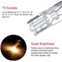 Weihong 10 pièces lampe de support de lampe en verre W2W T5 12V 2W lampe de signalisation incandescente lampe de voiture halogèn