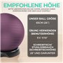 ENOVI EasyBalance Ballon de gymnastique Pezziball, avec socle et pompe, 65 cm, violet améthyste