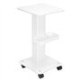 QWORK® Chariot de Chariot de Salon de beauté, Chariot de Spa sur Roues, Chariot Roulant de Stockage d'instruments de beauté