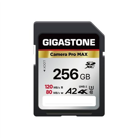 Gigastone A2 V60 Carte Mémoire SDXC 256 Go