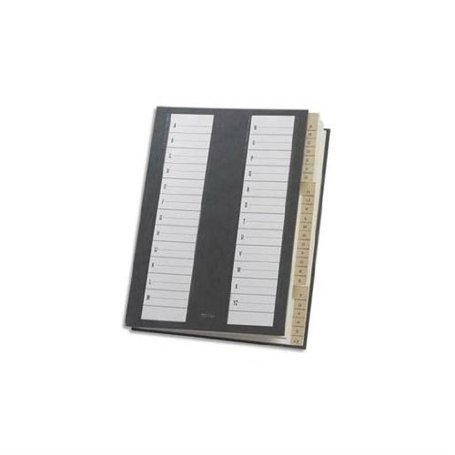 Extendos Trieur de document alphabétique 24 compartiments couverture rigide plastifiée dos extensible Vert