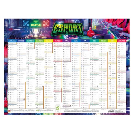 LECAS - 1 Calendrier Scolaire - 1 Face Calendrier & 1 Face Emploi du temps - Dimension 27 x 21 cm