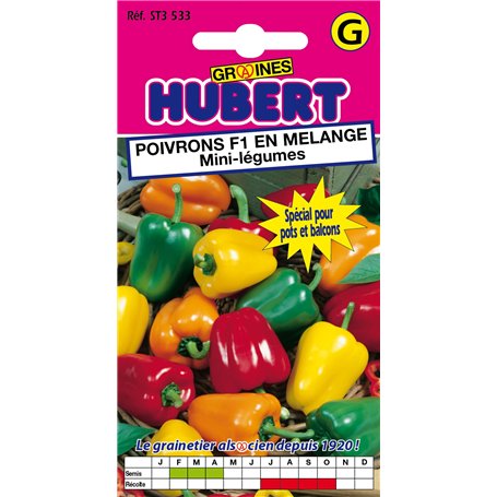10 Graines de Mini-Poivrons F1 en Mélange
