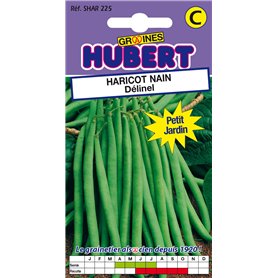 50 Graines de Haricot nain Délinel - Format Petit Jardin 50 Graines de Haricot nain Délinel - Format Petit Jardin