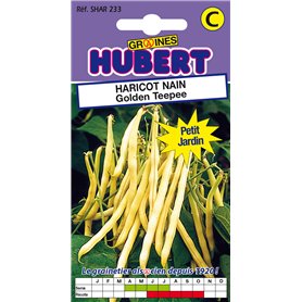 50 Graines de Haricot nain Golden Teepee - Format Petit Jardin 50 Graines de Haricot nain Golden Teepee - Format Petit Jardin