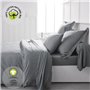 Drap housse - TODAY - 160 x 200 cm + 30 cm - Coton - Organic Acier