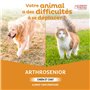 Clément Thékan Arthrosenior Grand Format - Aide à la mobilité articulaire chez le chien et le chat - Stimule la régénération du 