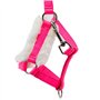 Hobby Horse Ensemble d'accessoires Licol moumoute Rose avec Longe et Bonnet Anti-Insectes Rose pour activité de Hobby Horsing.