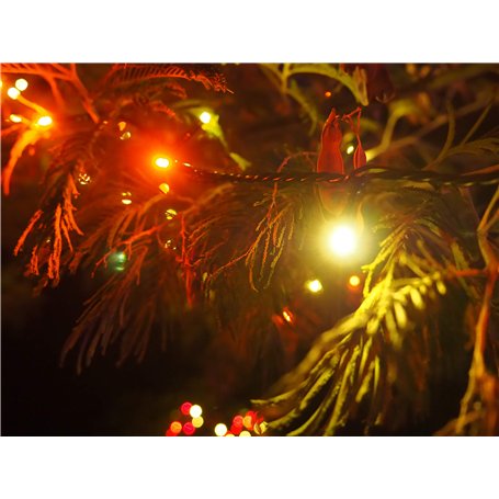 Guirlande Lumineuse Intérieure et Extérieure 120 LED Rouge et Blanc Chaud Longueur de 9m50 Indice IP44 Terrasse Jardin Déco Sapi