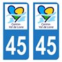 HADEXIA Autocollant Stickers Plaque immatriculation Voiture Auto département 45 Loiret Logo Région Centre-Val de Loire