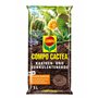 Compo 1122102004 cactea Cactus et succulente Terre