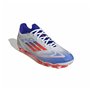 Chaussures de Football pour Adultes Adidas F50 League Blanc
