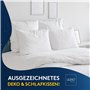 LILENO HOME Lot de 1 de garnissage d'oreiller 30x50 cm - Coussin intérieur Lavable à 40°C adapté aux allergiques - Garnissage en