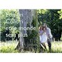 Edition Colibri 10 invitations en Français Cheval mignon avec maman: lot de 10 cartes d'invitation illustrées avec chevaux pour