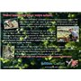 Edition Colibri 10 invitations en Français Cheval mignon avec maman: lot de 10 cartes d'invitation illustrées avec chevaux pour