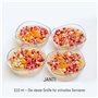 JANTI Set De Bol en Verre De 310 ml - Parfait Comme Bol petit Dejeuner, Saladier en Verre et Bol À Dessert - Résistant Aux Ray