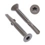 Vis à Métal 6.3mm Autotaraudeuses Torx à Tête Plate Autoperceuse (lot de 100) Utilisation Extérieure Avec Protection Anti-corros
