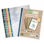 eco-eco Eco107 Lot de 50 pochettes perforées transparentes A4 100% recyclées Dos coloré 45 microns