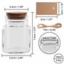 BELLE VOUS Lot de 15 Pot avec Bouchon Liege, Ficelle et Étiquettes - Mini Bocaux en Verre de 100 ml - Petit Bocal en Verre pour 