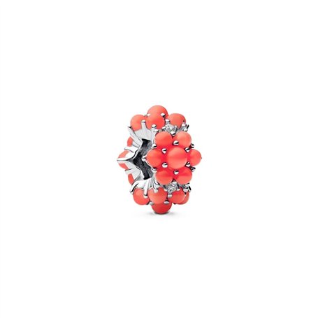 Perle de verre Femme Pandora 793897C01 Argenté