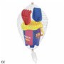 Set de jouets de plage F.C. Barcelona 18 cm